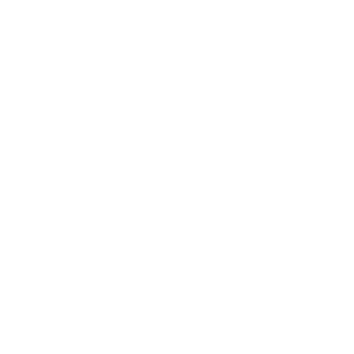 Aktif Tuketim
