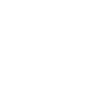 Saya Holding